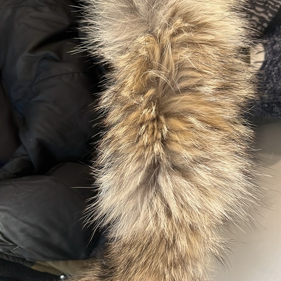 Canada Goose montebello winter parka - Picture 10 of 12